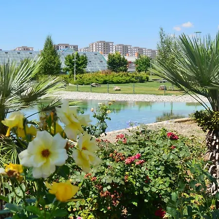 Modern בורסה